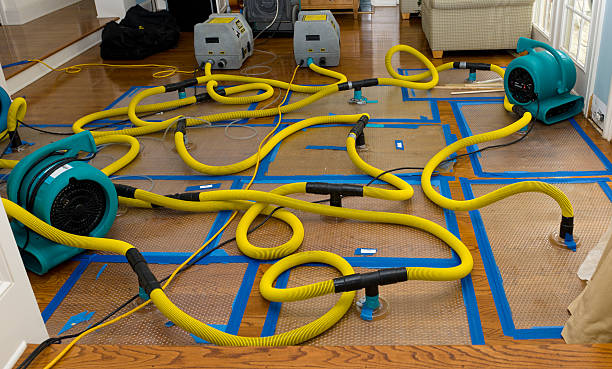 Professional Structural Drying And Dehumidification technician working in Brightwaters, NY